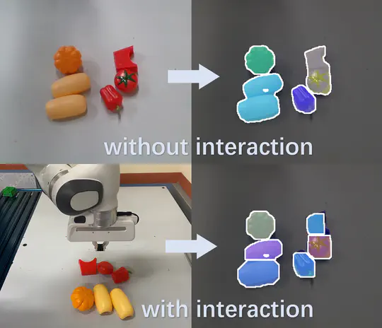 Interactive Object Perception